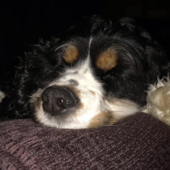 welcome! - Picture 3 of 7